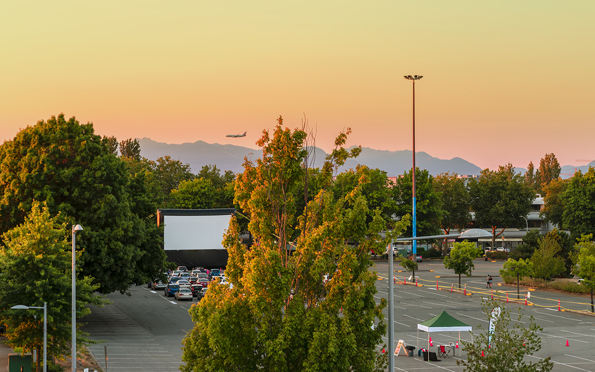 Outdoor Movie Experience